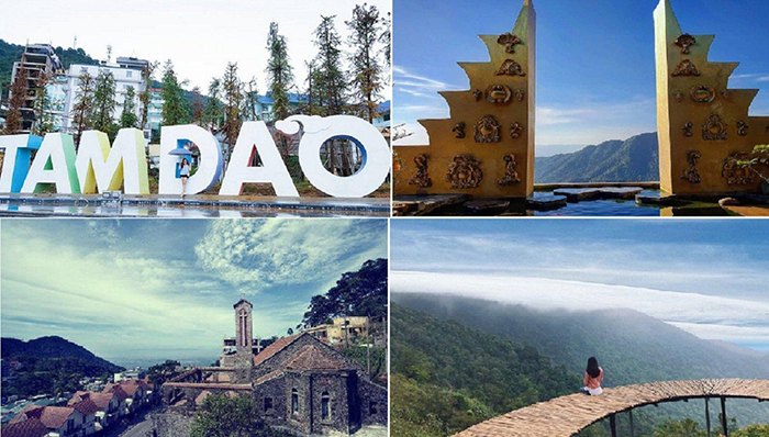 Công ty du lịch chuyên tour Tam Đảo như Kavo Travel sẽ đưa bạn tham quan nhiều điểm đến nổi bật, lịch trình hấp dẫn.