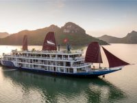 Có nên đi tour du thuyền Hạ Long của Du lịch Khát Vọng Việt - Kavo Travel hay không?
