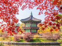 Chia sẻ kinh nghiệm đi du lịch Hàn Quốc theo tour