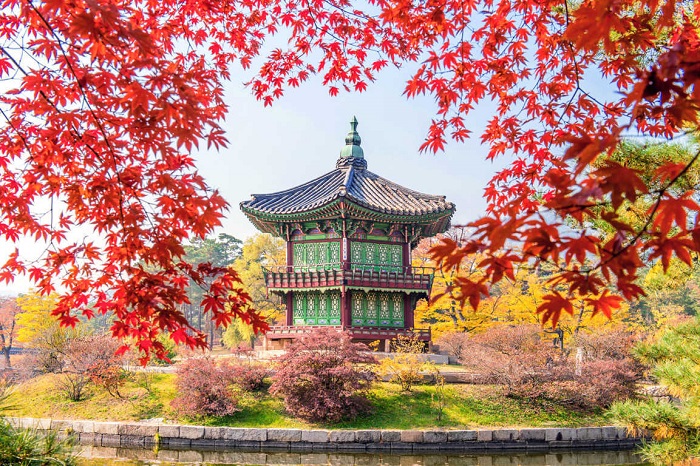 Chia sẻ kinh nghiệm đi du lịch Hàn Quốc theo tour