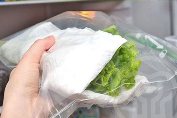 Cách Bảo Quản Rau Xà Lách Tươi Lâu Cả Tuần Trong Tủ Lạnh (Vẫn Giòn Rụm)